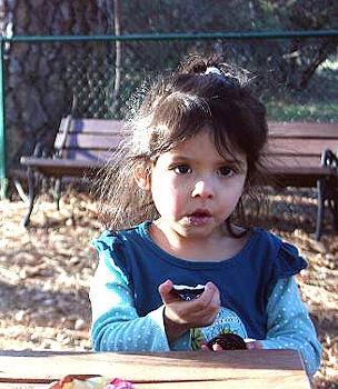 Amaryllis at 3 years